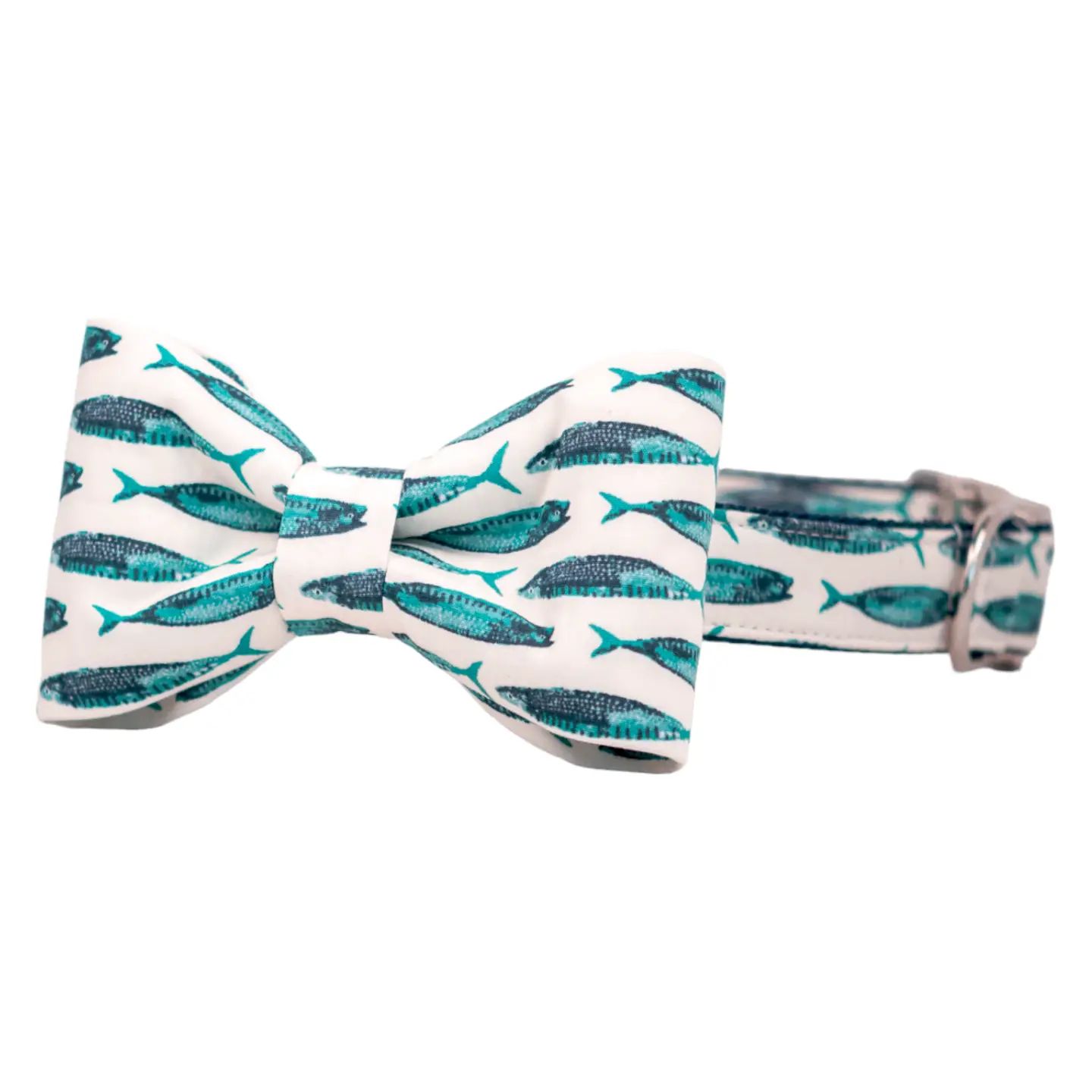 Saltwater School - Bow Tie Dog Collar