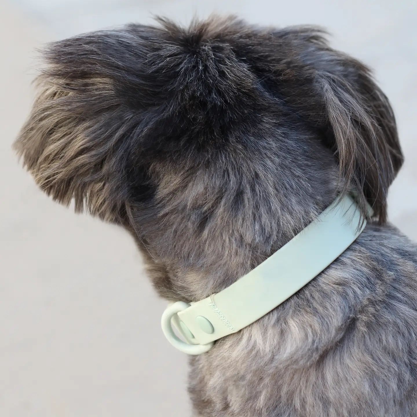 Mint Green - Waterproof Dog Collar, Size: Small