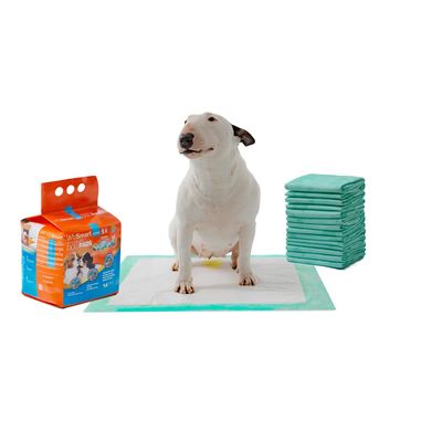 All Day Dry - Dog Pads (14 Pack)