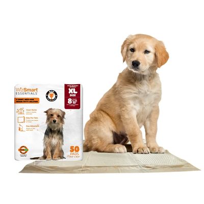 WizSmart XL Dog Pads - 50 count