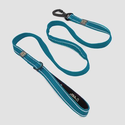 Anti-Push Sport Dog Leash - Blue