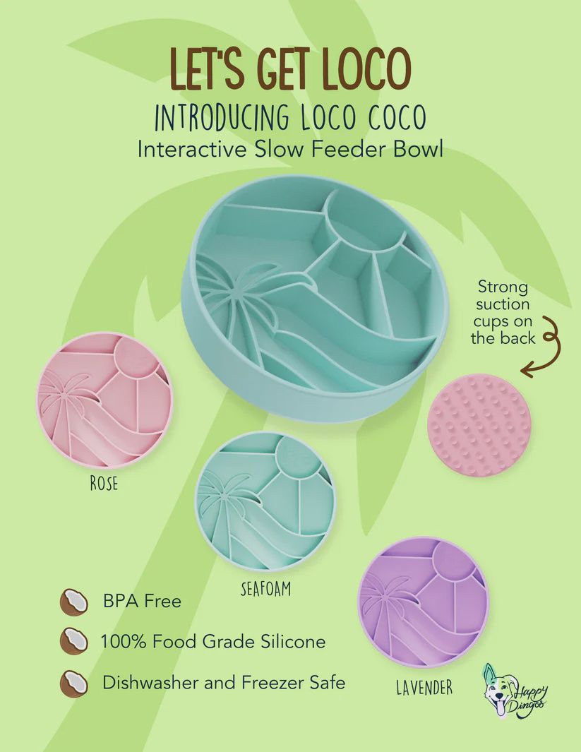 Slow Feeder Bowl