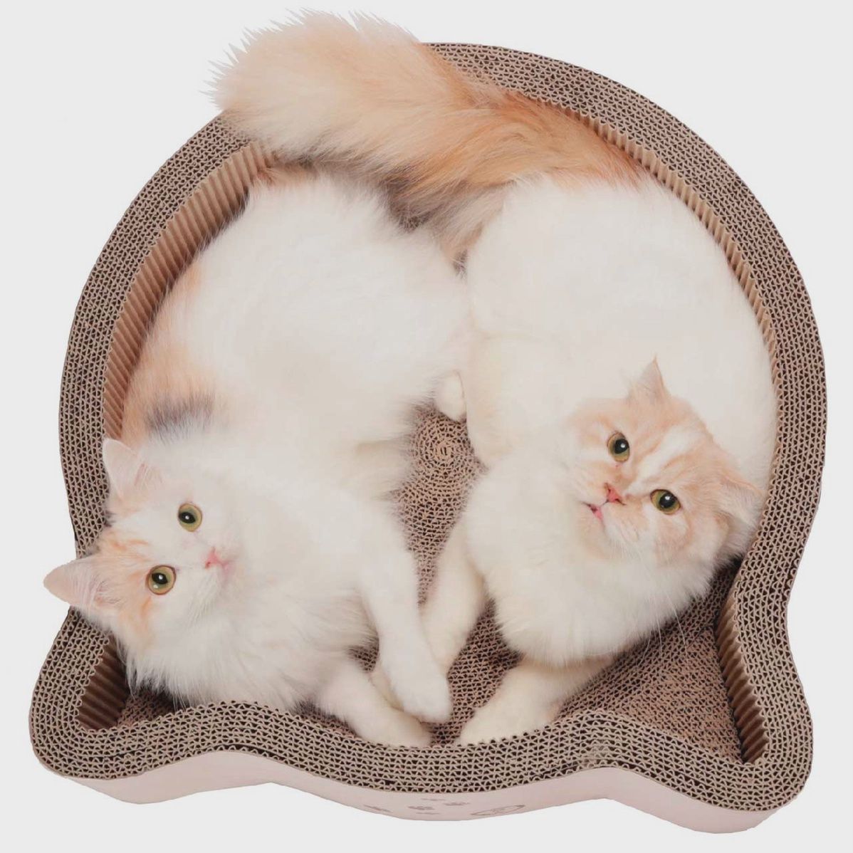 Cat-Headed Scratcher Bed