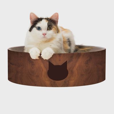 Cozy Cat Scratcher Bowl