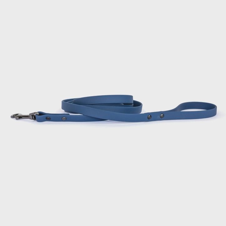 Waterproof Dog Leash, Colour: Navy