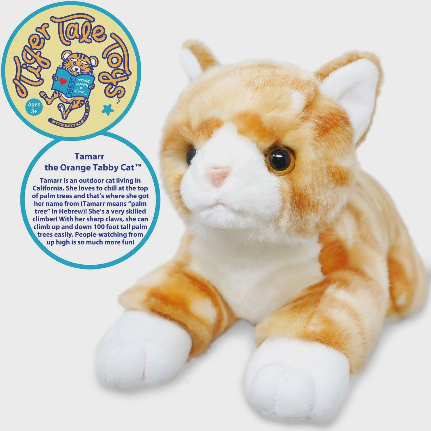 Tamarr the Orange Tabby Cat
