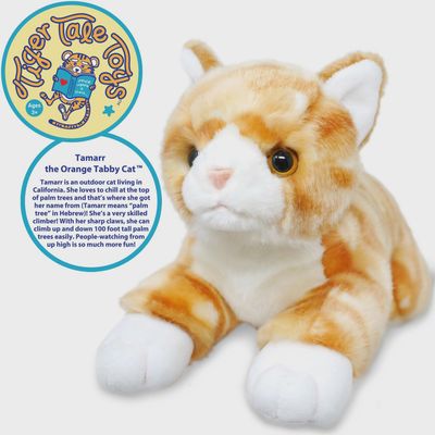 Tamarr the Orange Tabby Cat