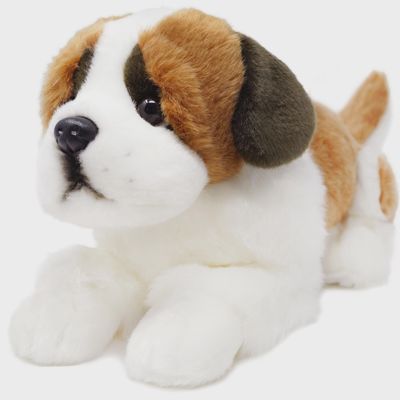 Bernadette the Saint Bernard