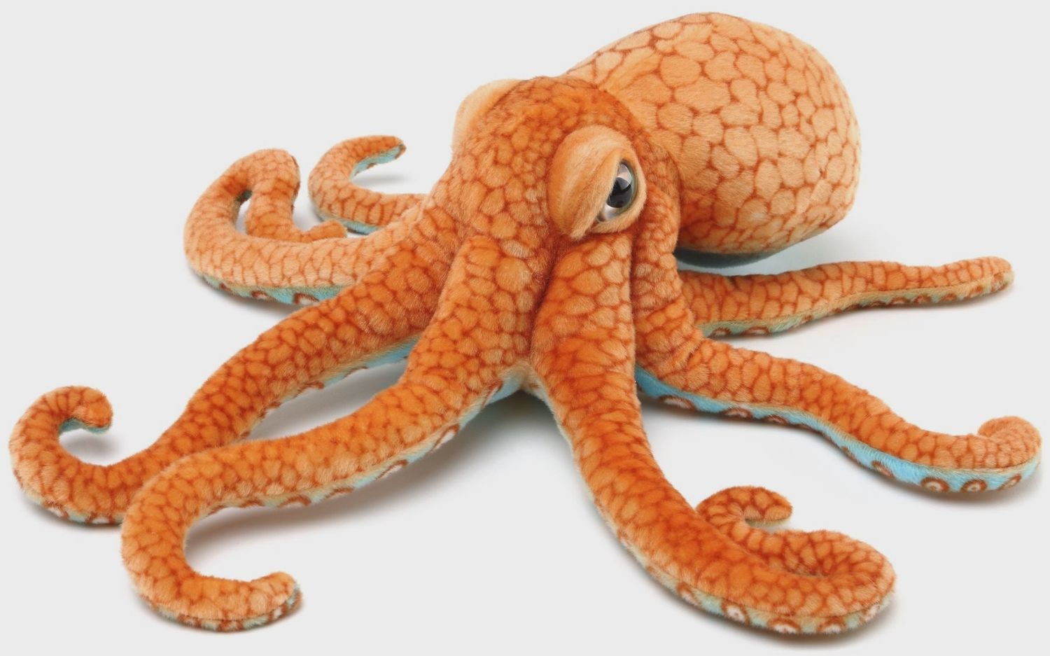 Olympus the Octopus