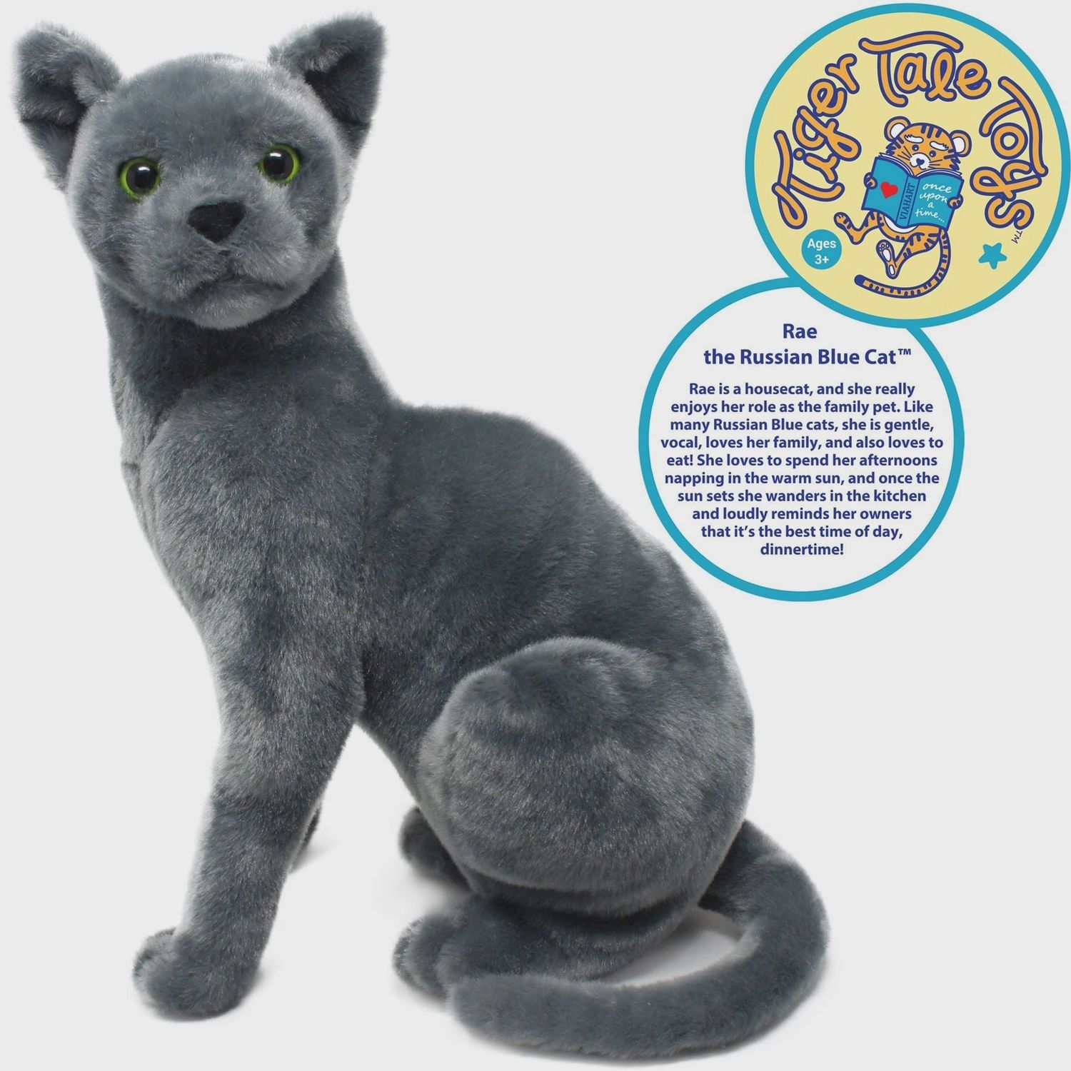 Rae the Russian Blue Cat