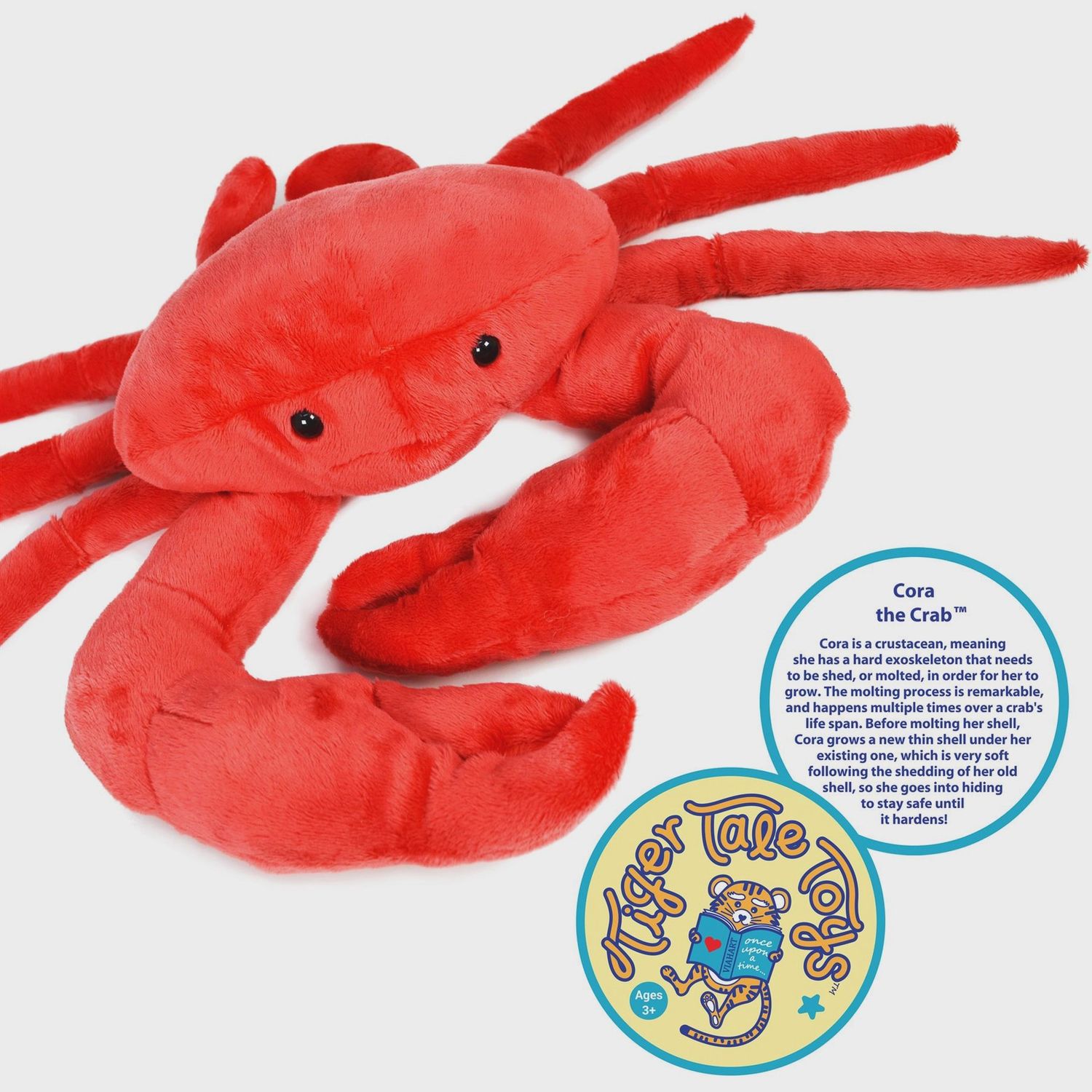 Cora the Crab