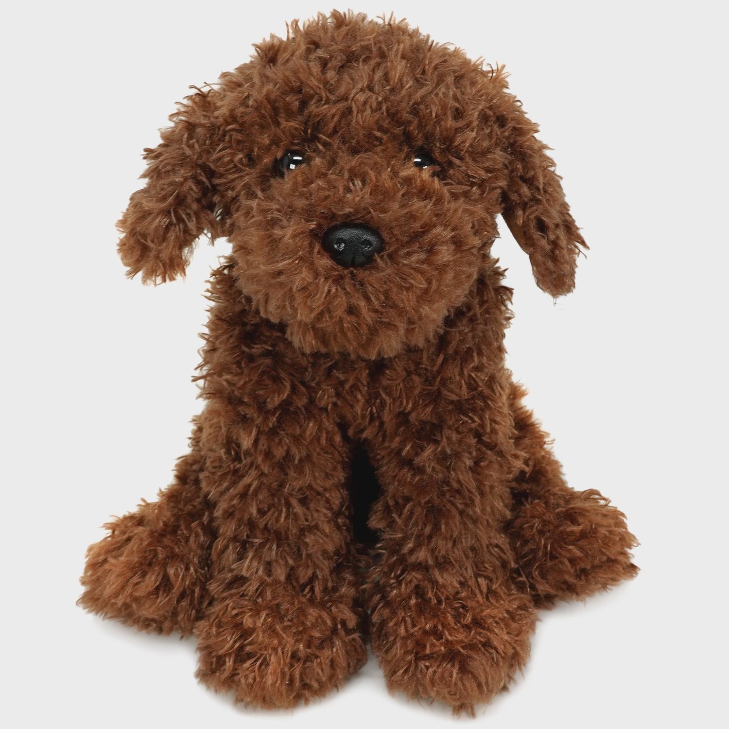 Laurel the Labradoodle