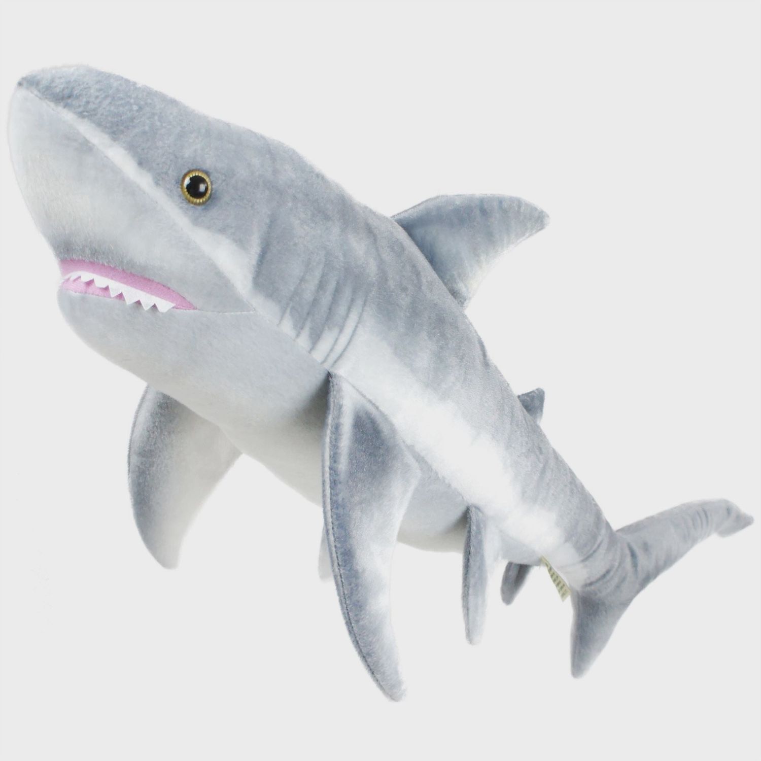 Sammy the Shark
