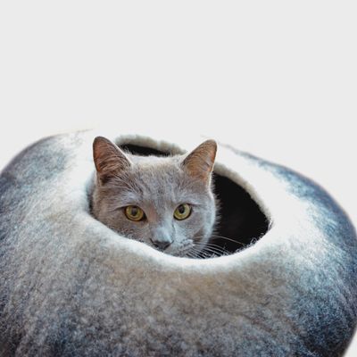 Ombre Wool Pet Cave