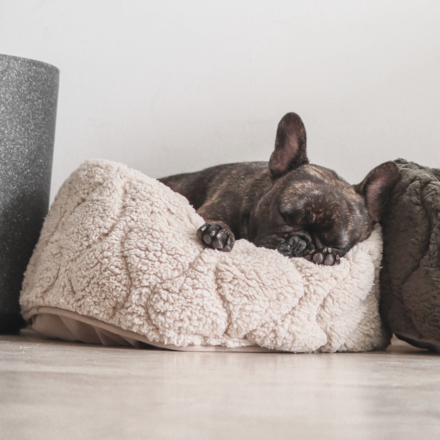 Taart Dog Bed