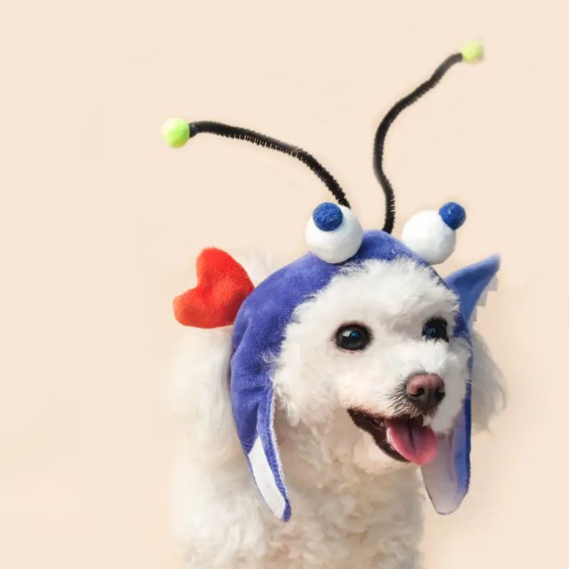Ozzie - Decorative Goldfish Pet Hat