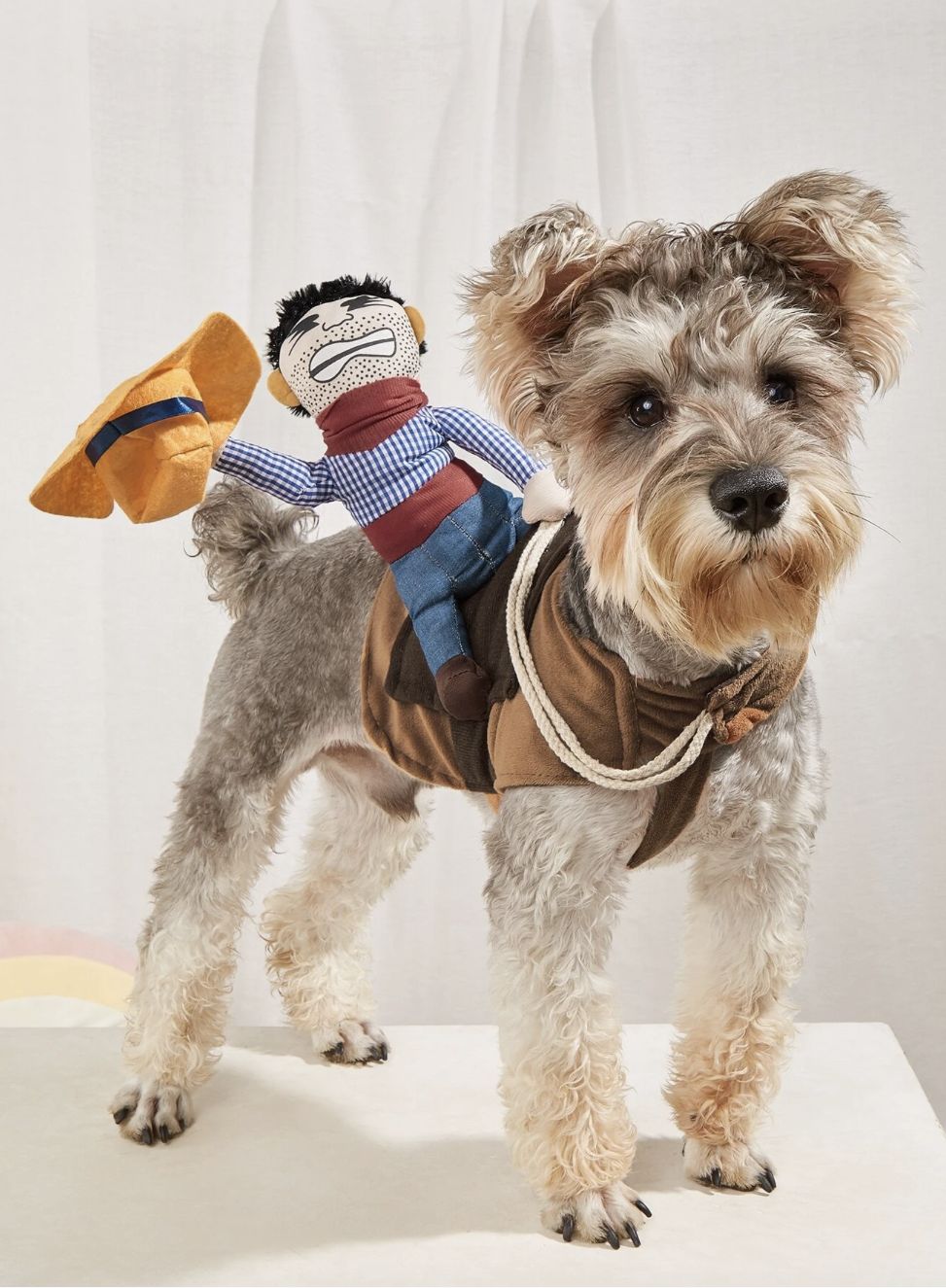 Cowboy Dog Halloween Costume