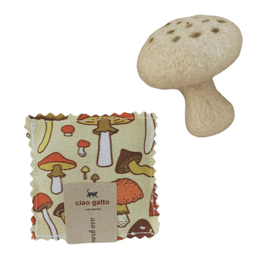 Catnip Infused Magic Mushroom