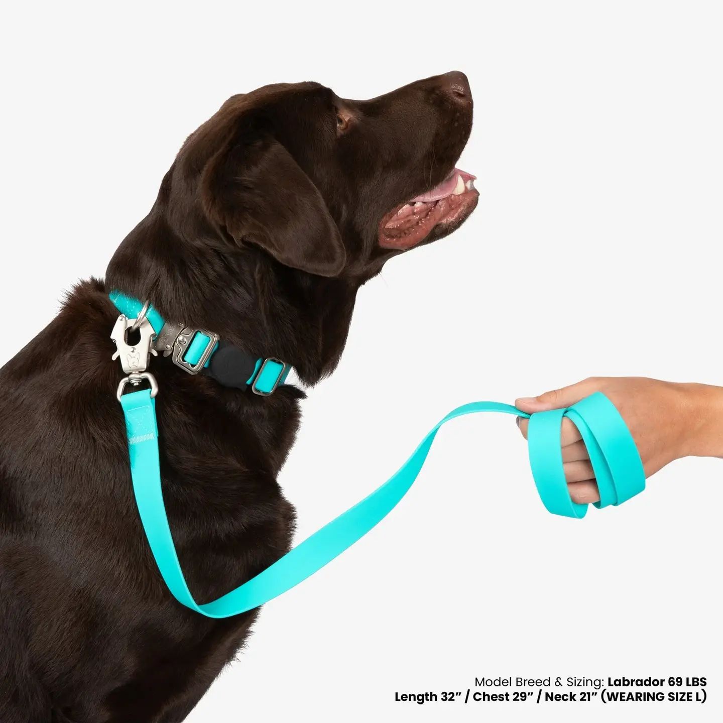 Nandog Sport Waterproof Leash, Colour: Aqua, Size: Med/Large