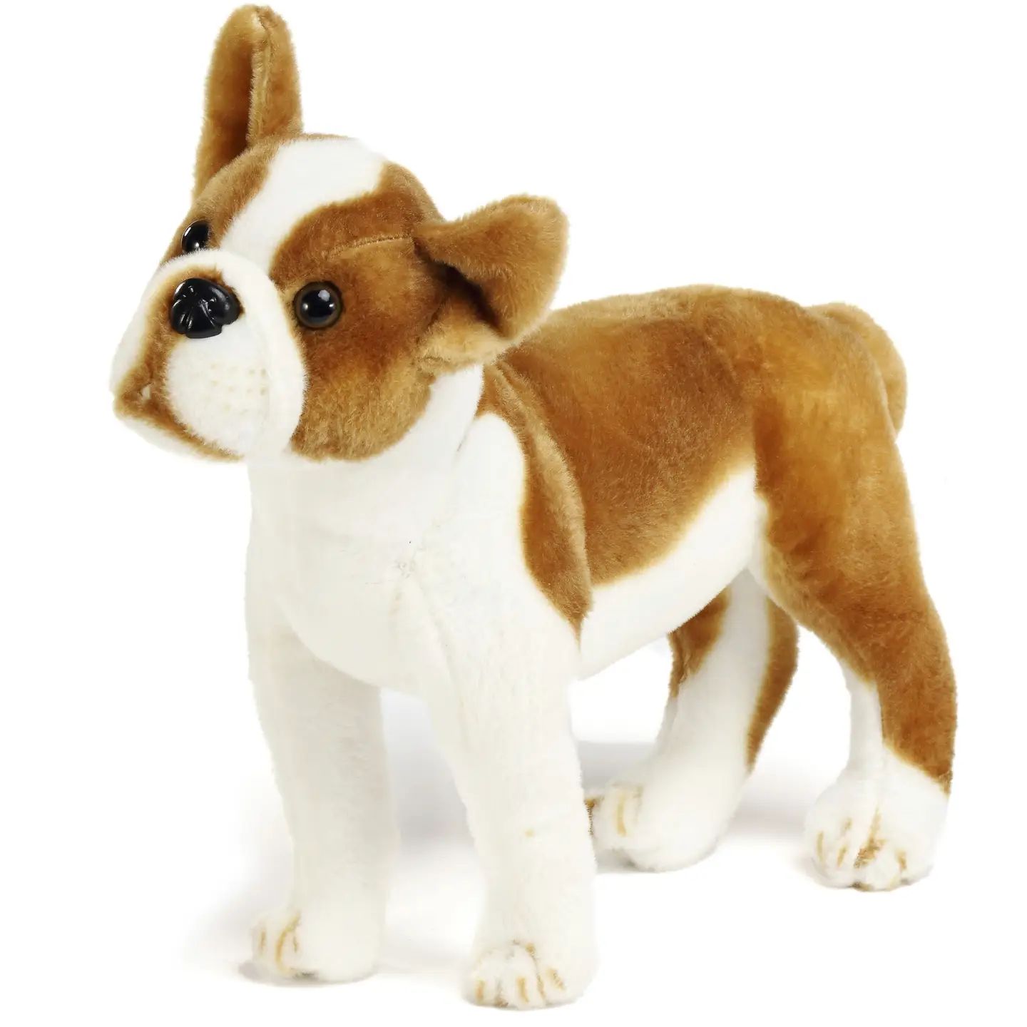 Bobby the Boston Terrier