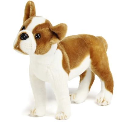 Bobby the Boston Terrier