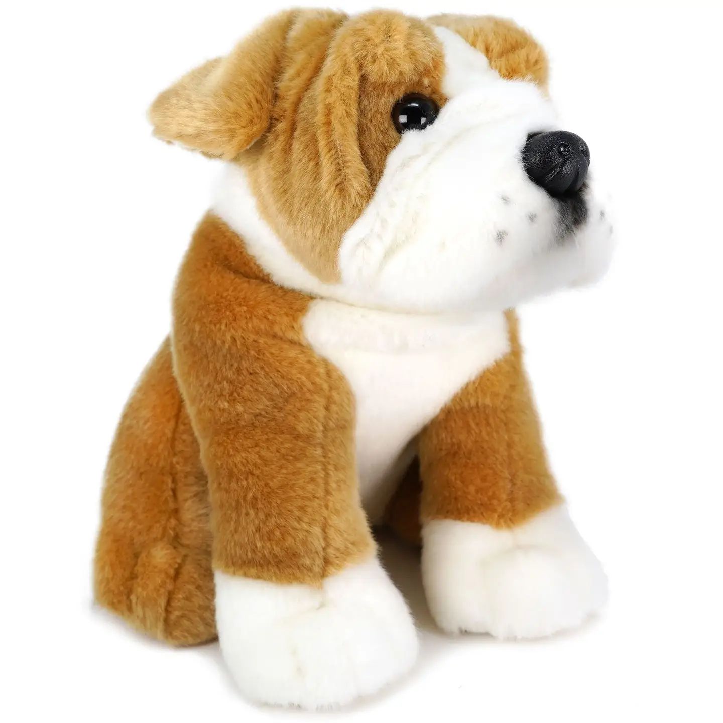 Egan the English Bulldog