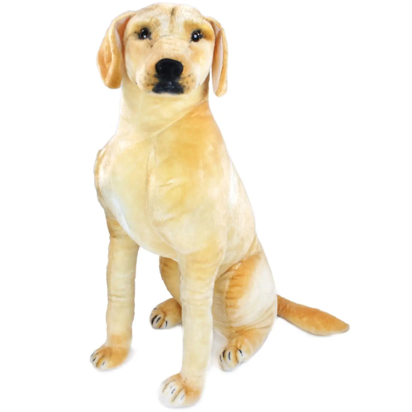 Leanna the Labrador
