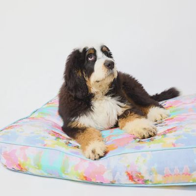 Blue-Park Avenue Dog Bed