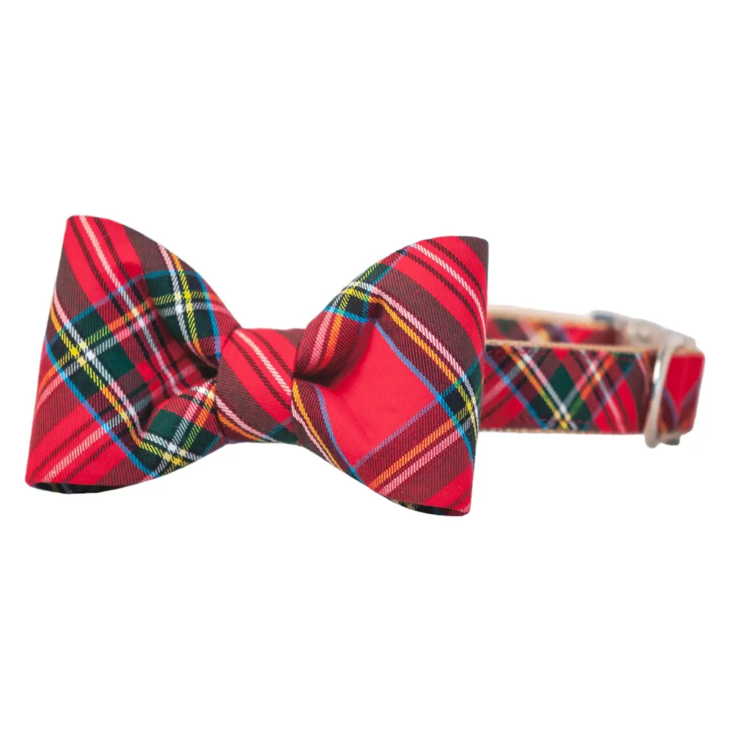 Scottish Tartan Dog Collar