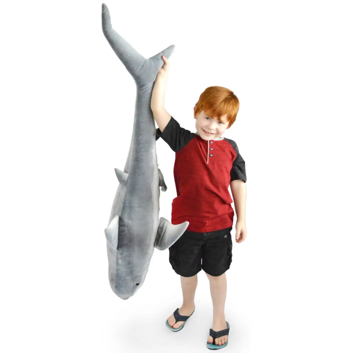 Kiki the Great White Shark