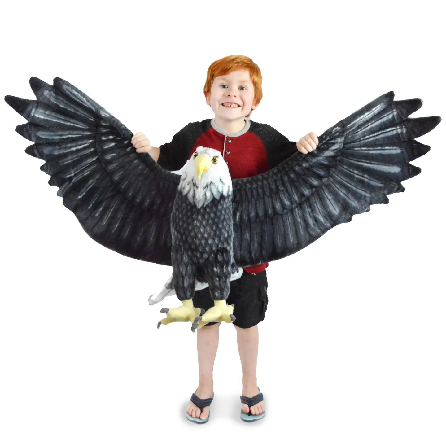 Barry the Bald Eagle
