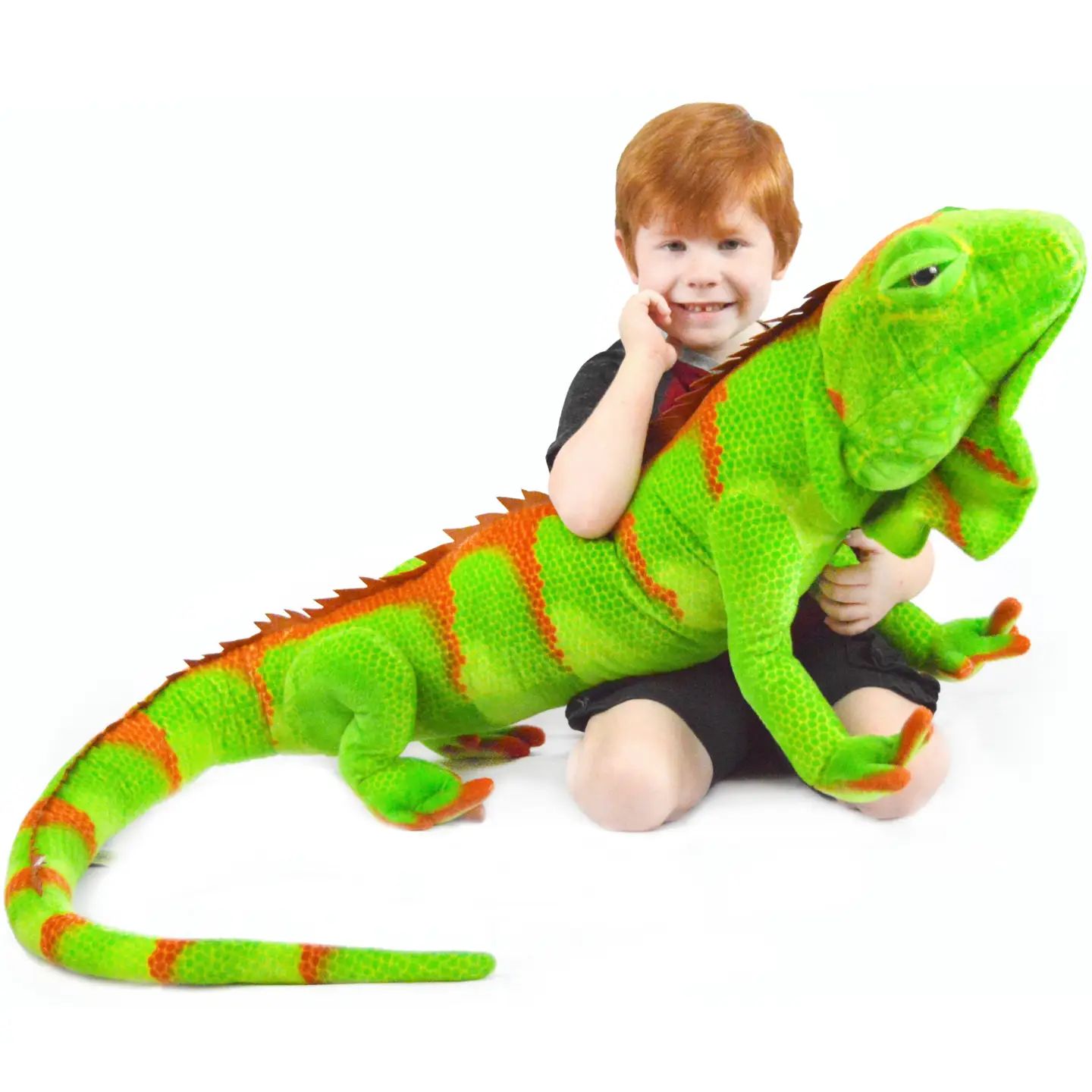 Ignacio the Iguana