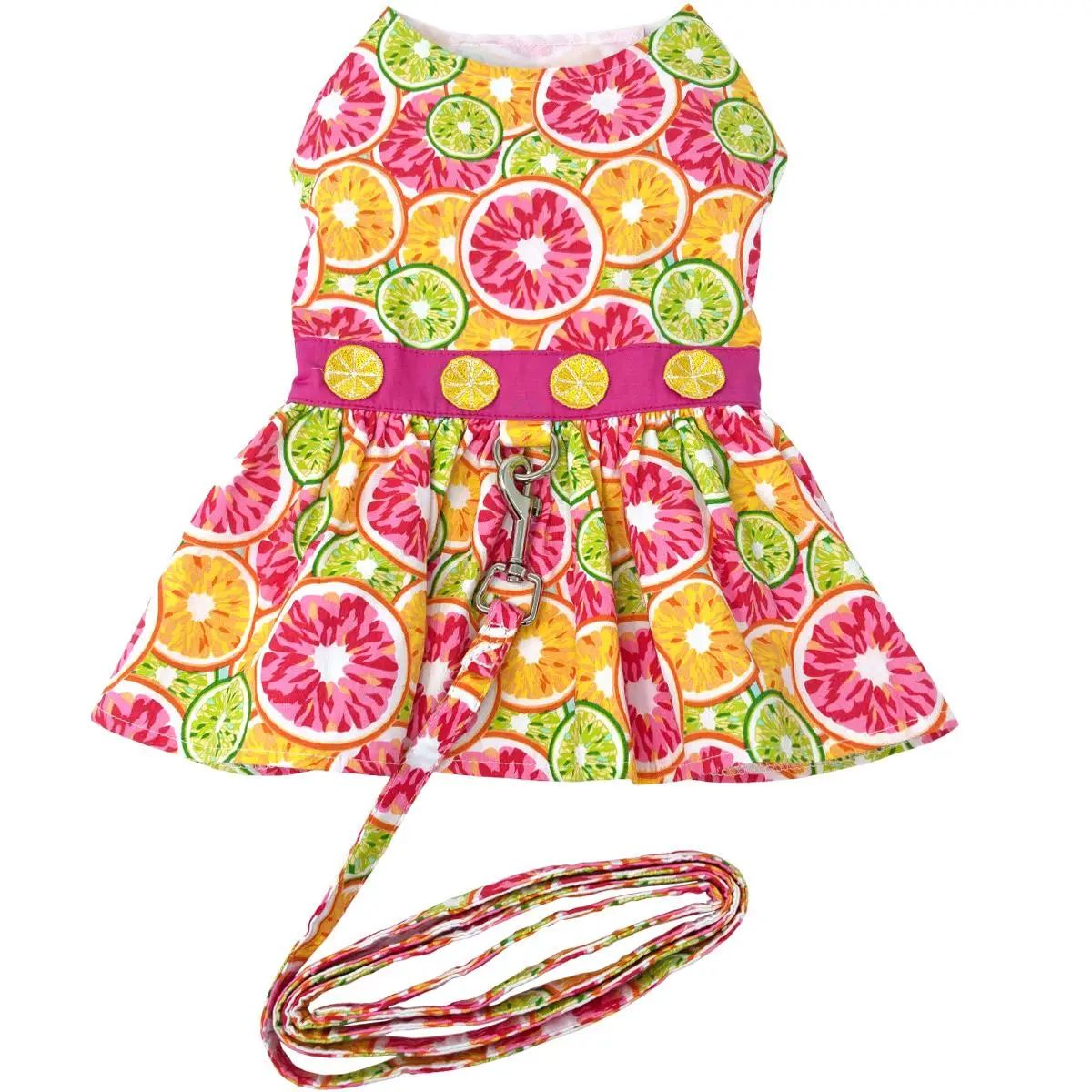 Citrus Slice Dog Dress w/ Leash