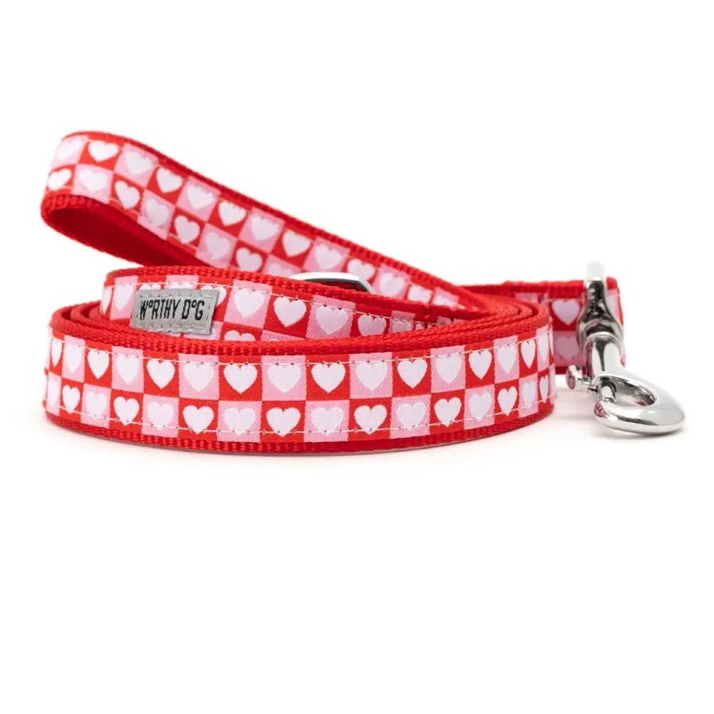 Colorblock Hearts Leash