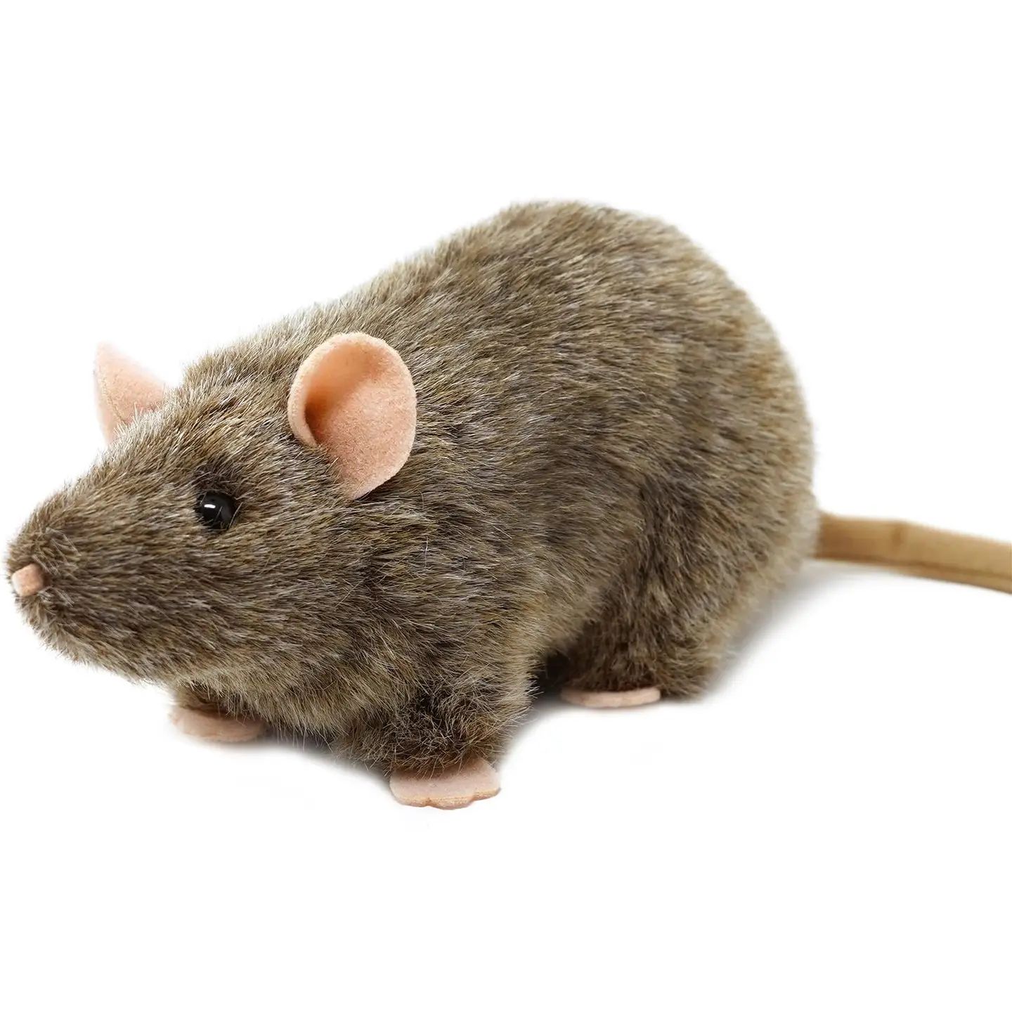 Reuben the Rat