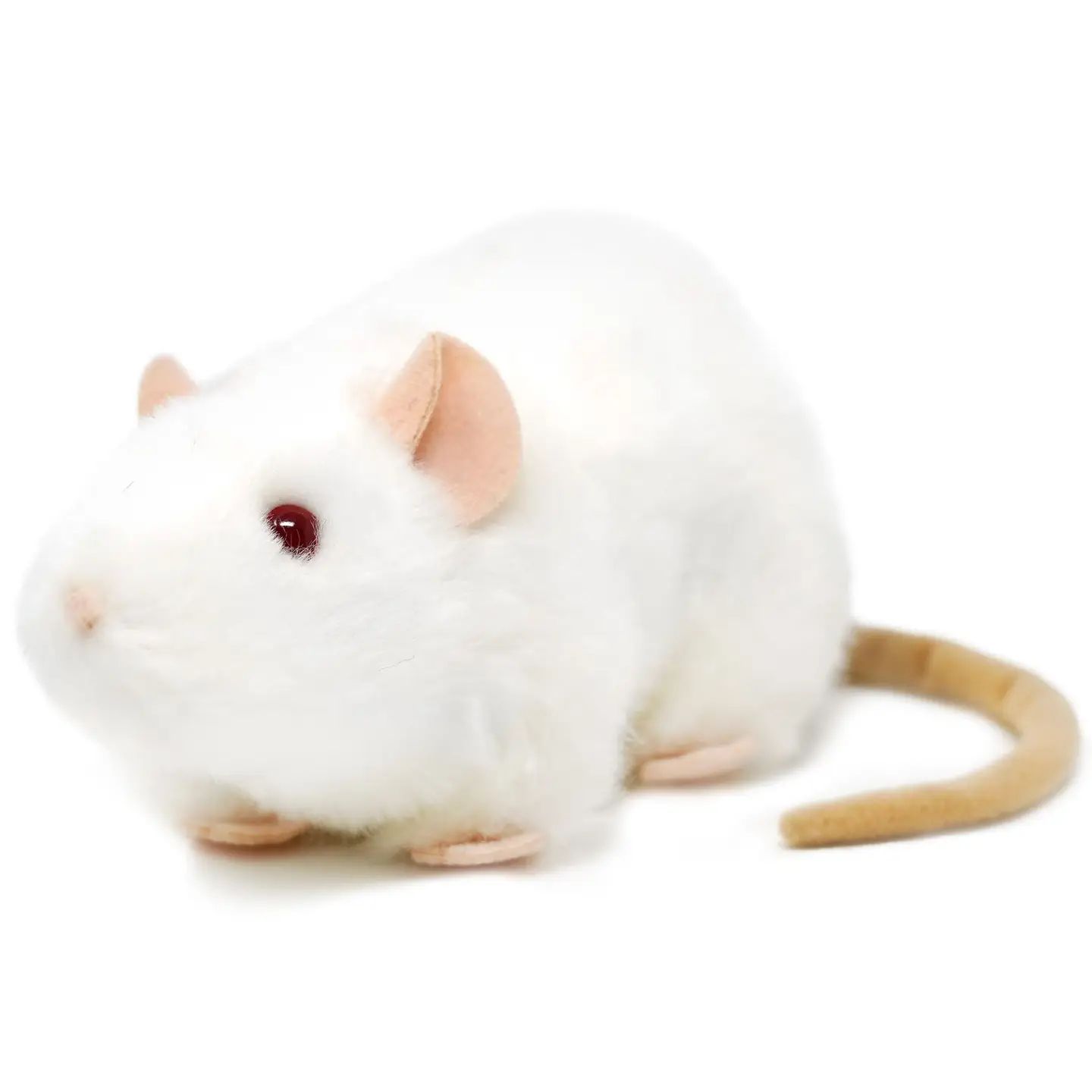 Wylie the White Rat