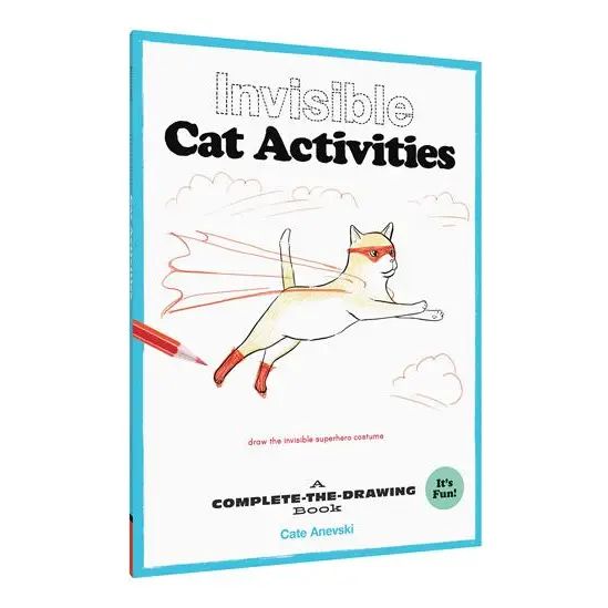 Invisible Cat Activities Book