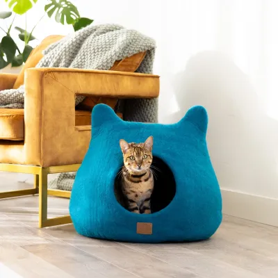 Scratching Posts and Beds