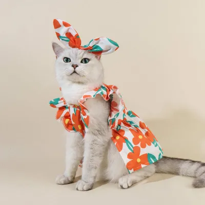 Clothing and Accessories