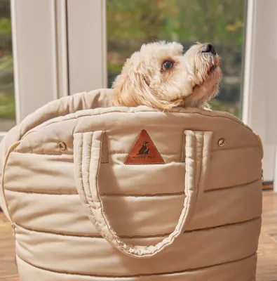 Carriers and Travel Accessories