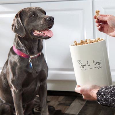 Food and Treats