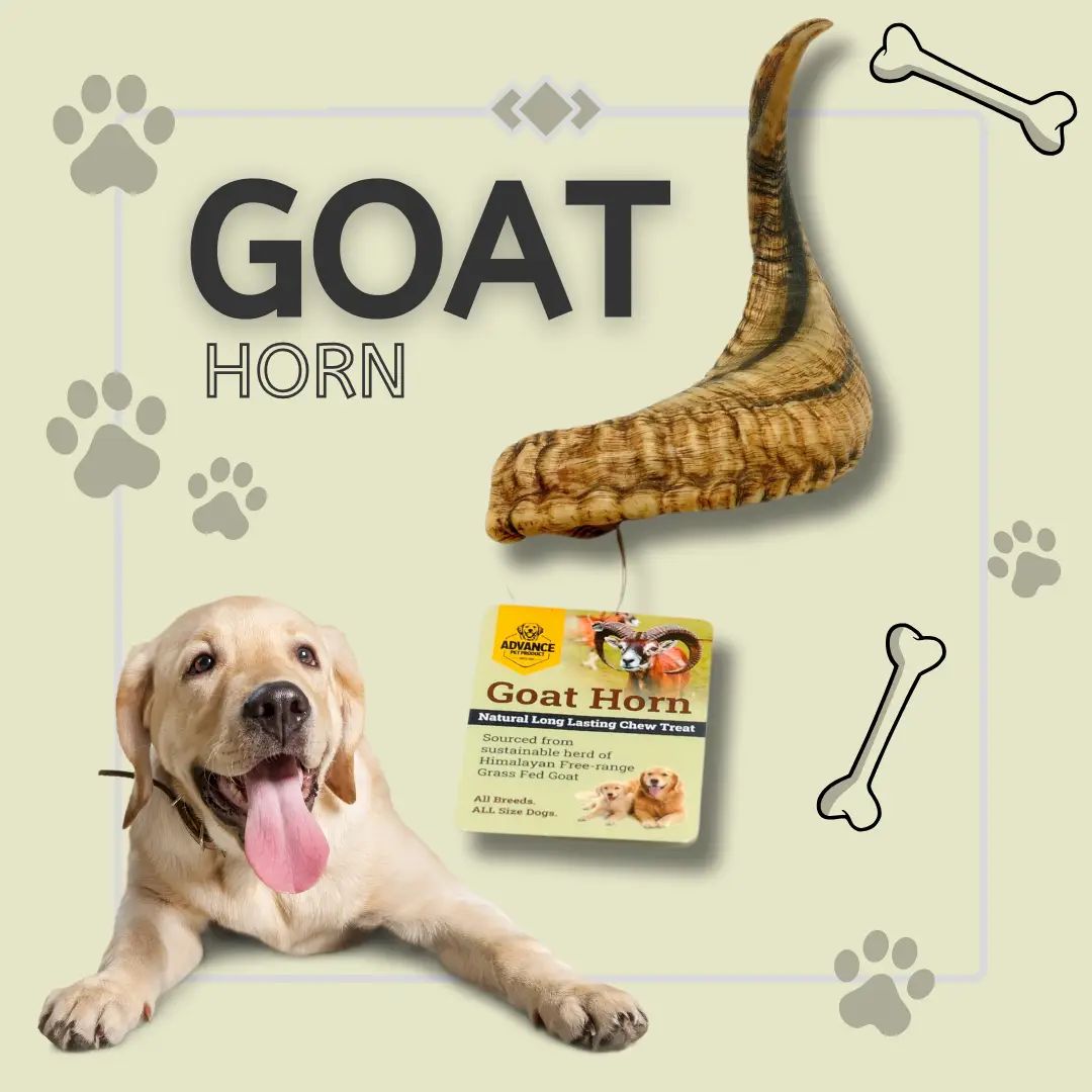 Goat Horns