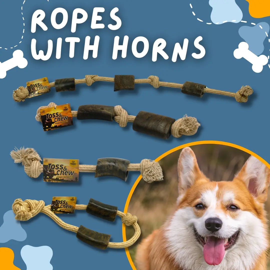 Rope with Water Buffalo Horns
