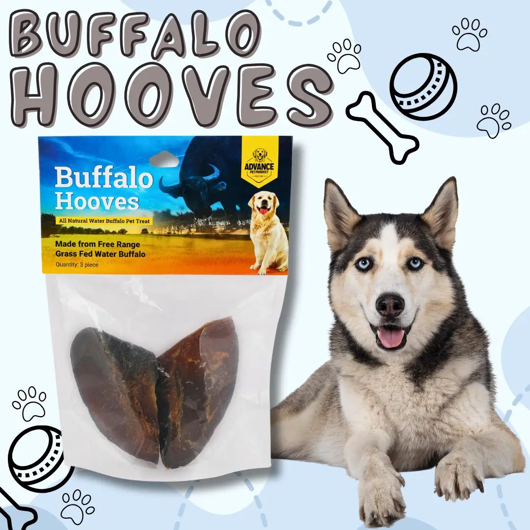 Water Buffalo Hooves