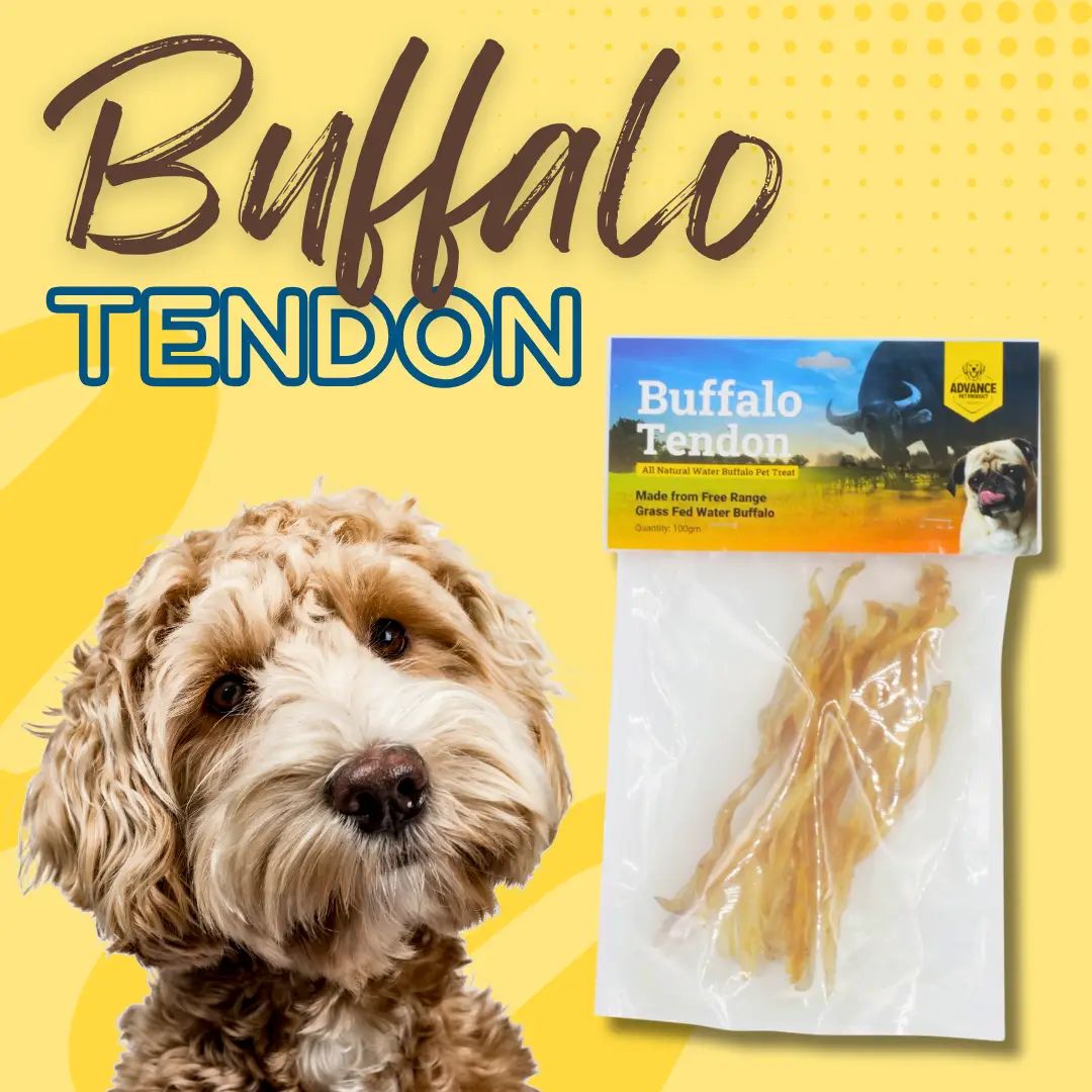 Water Buffalo Tendon