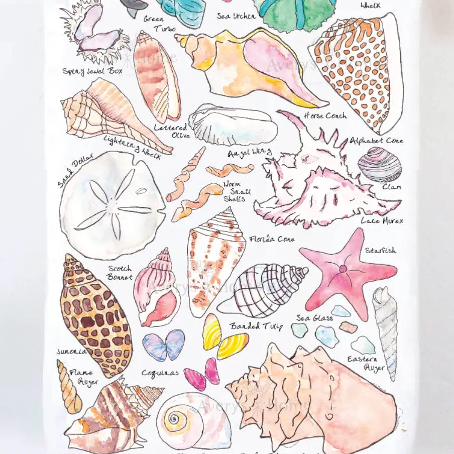 Sea Shell Collector - Kitchen Towel