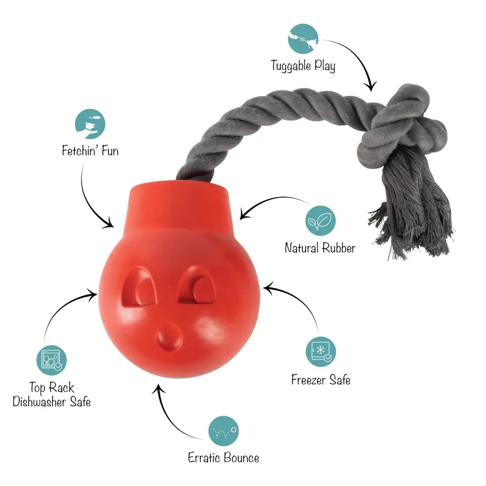 You Da Bomb - Rubber Dog Toy