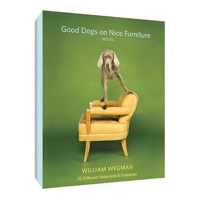 Good Dogs on Nice Furniture: 20 Notecards &amp; Envelopes