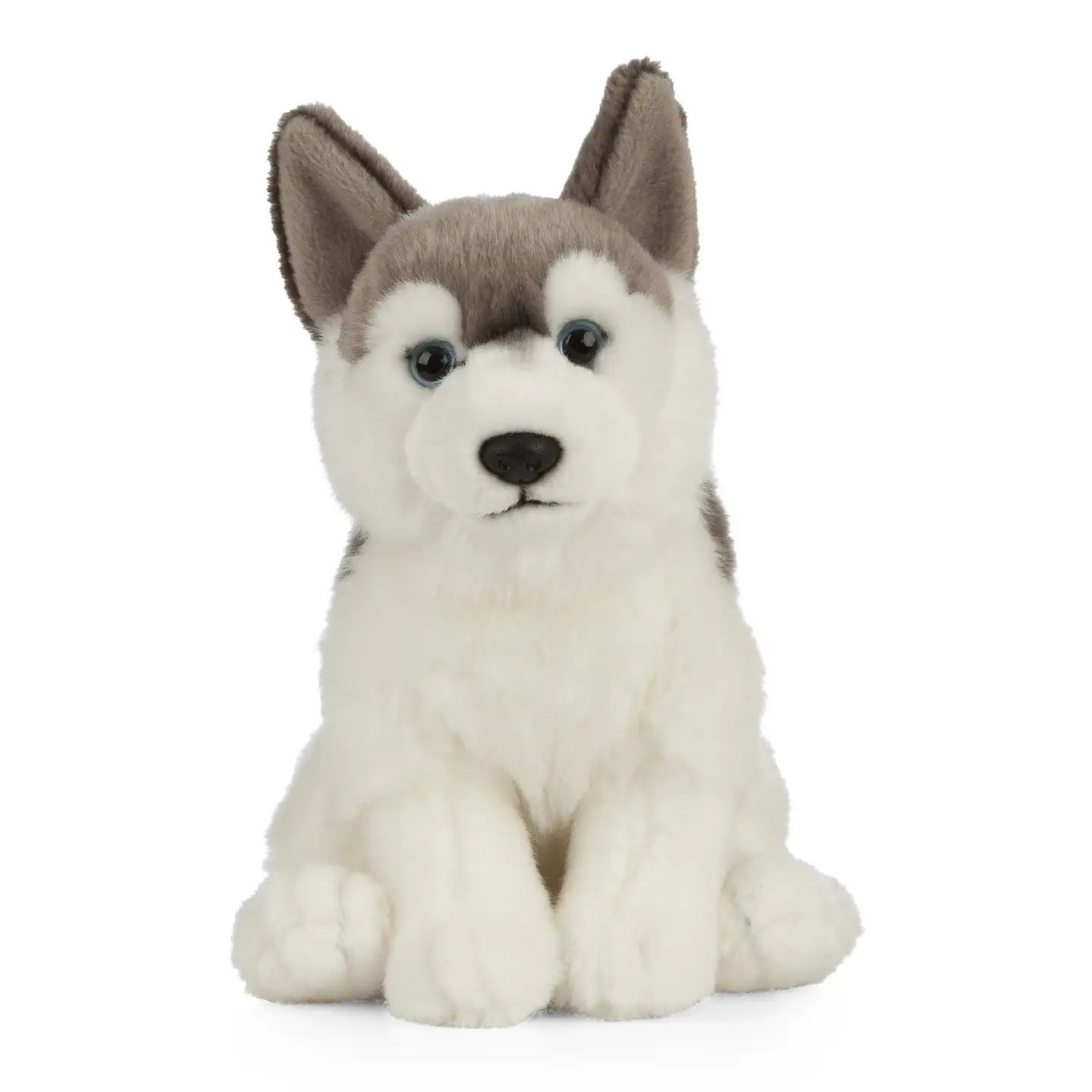 Husky Plush Toy
