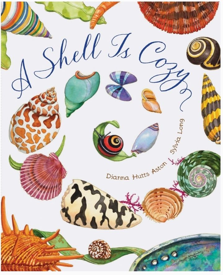 A Shell Is Cozy